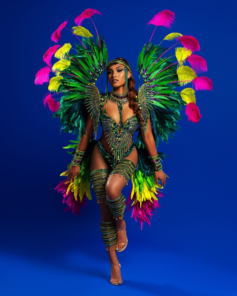 AVAYA_Backline with Medium Feathers