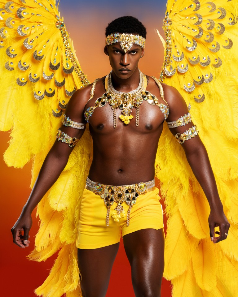 Cora Sun - Male Costume - Individual Feathers - Close Up