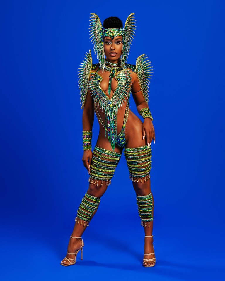 AVAYA_Frontline Bodywear Only